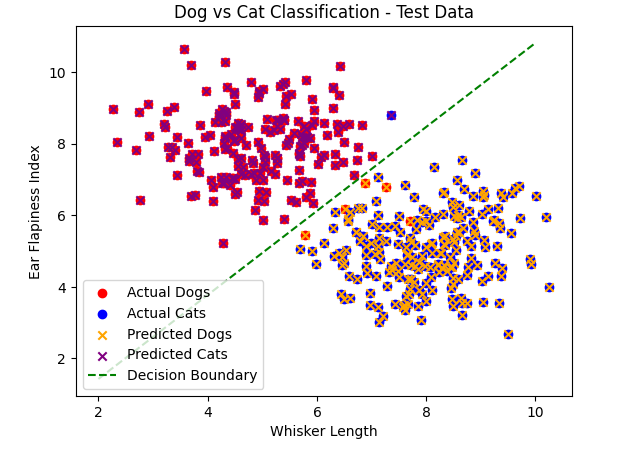 Randon Linear Classification Model