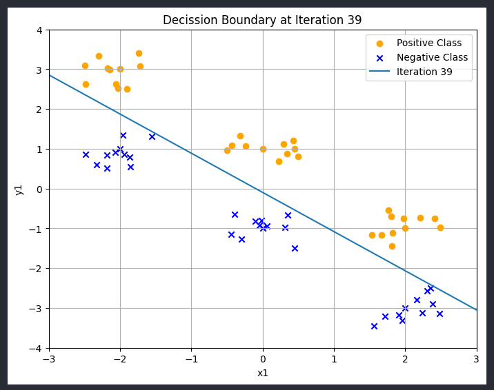 The Perceptron Model